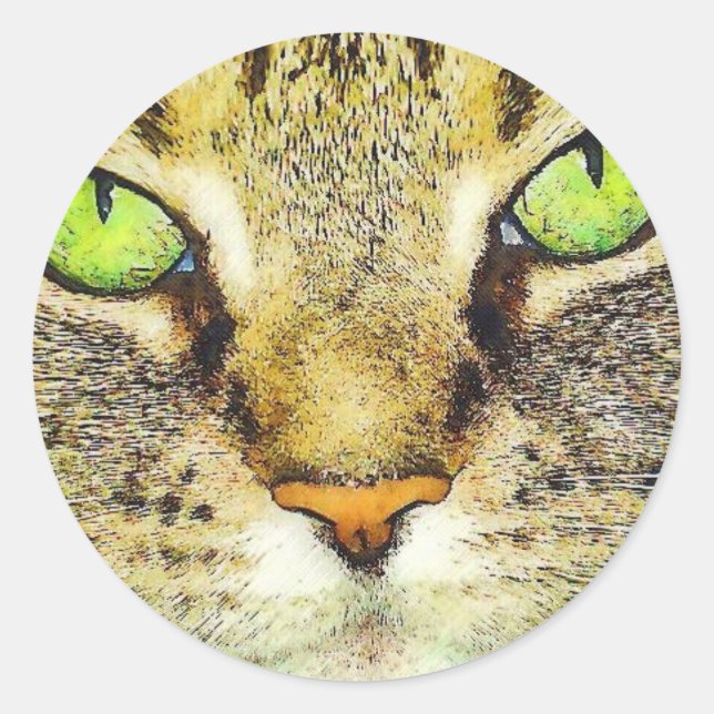 Green Eyed Tabby Cat Classic Round Sticker (Front)