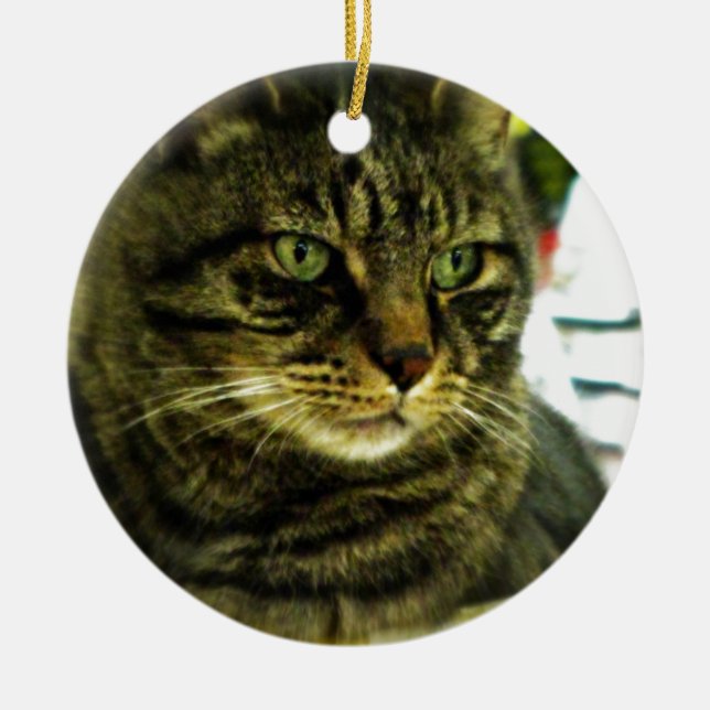 Green Eyed Tabby Face Ceramic Tree Decoration (Front)