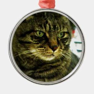 Green Eyed Tabby Face Metal Tree Decoration