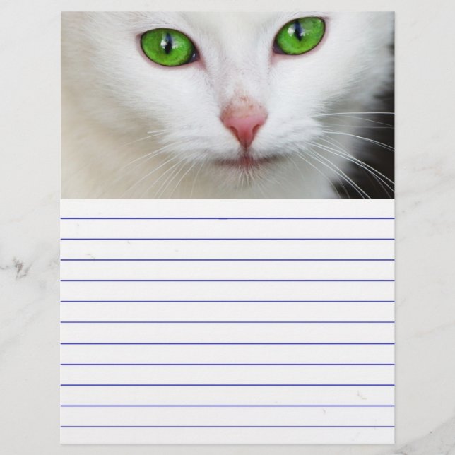 Green Eyed White Cat (Front)