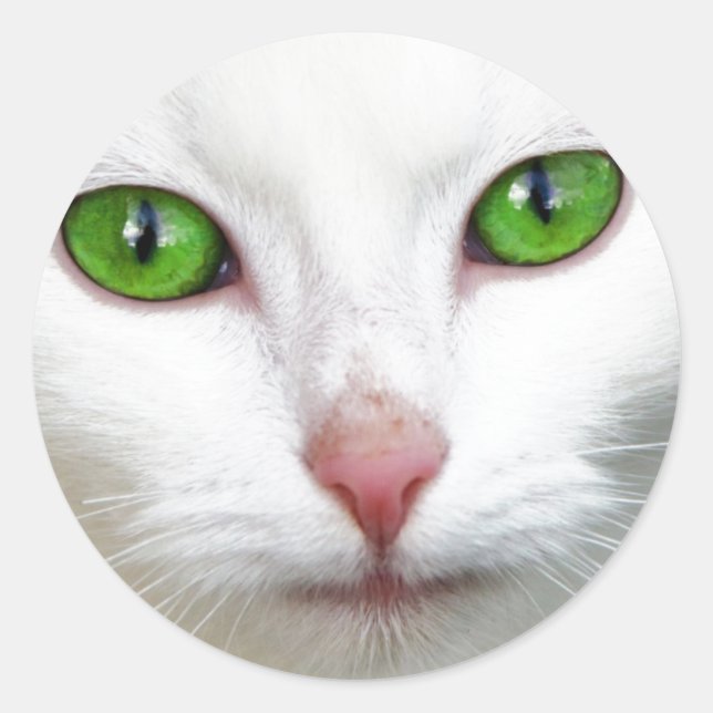 Green Eyed White Cat Classic Round Sticker (Front)
