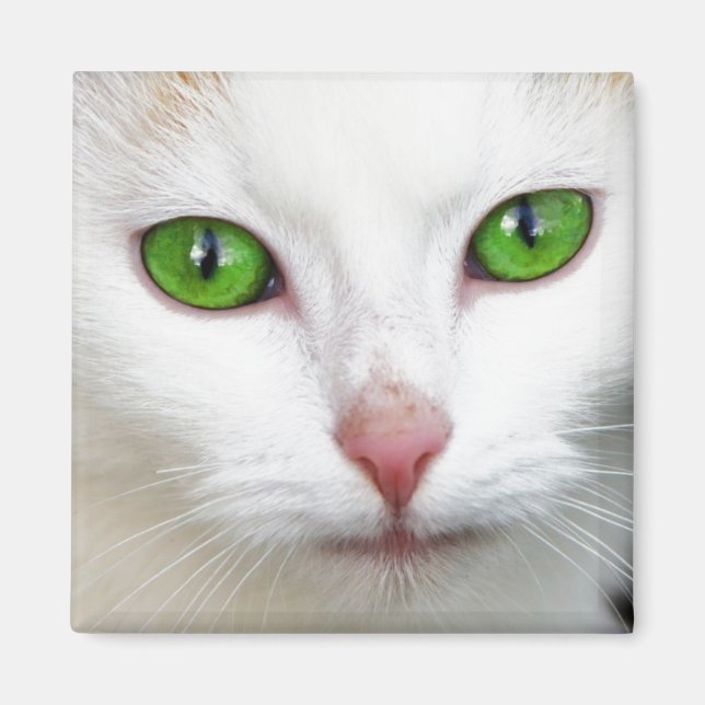 Green Eyed White Cat Magnet (Front)
