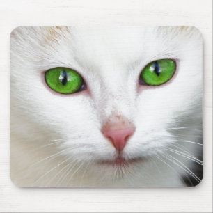 Green Eyed White Cat Mouse Mat