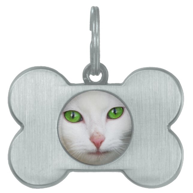 Green Eyed White Cat Pet Tag (Front)