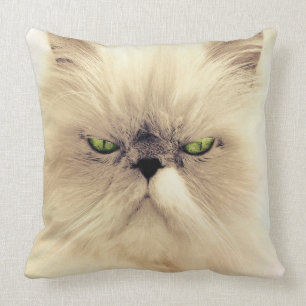 Green Eyed White Persian Cat Cushion