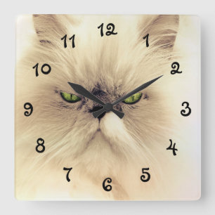 Green Eyed White Persian Cat Square Wall Clock