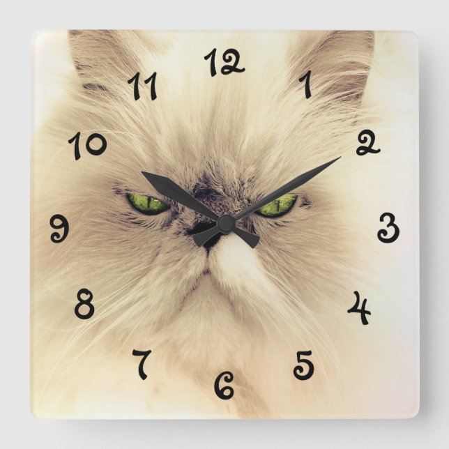 Green Eyed White Persian Cat Square Wall Clock (Front)