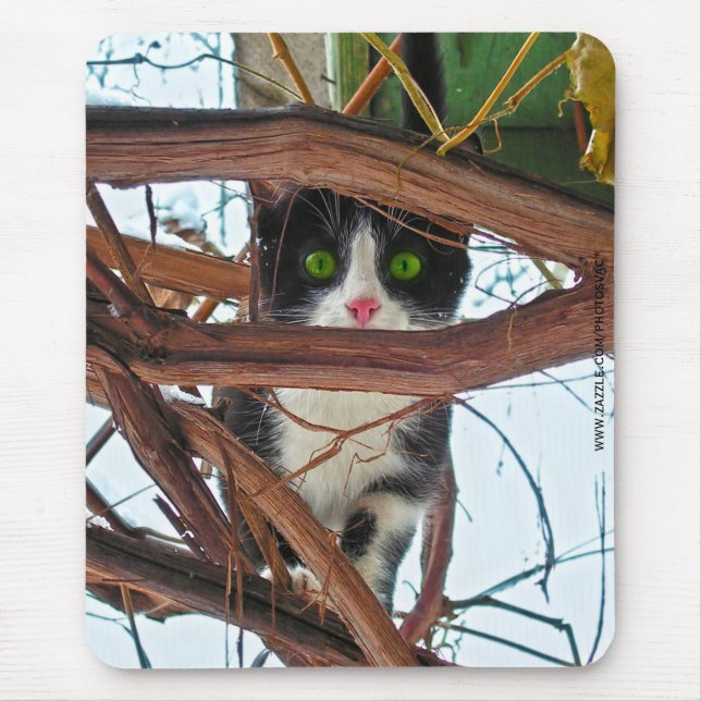 Green Eyes Mouse Mat (Front)