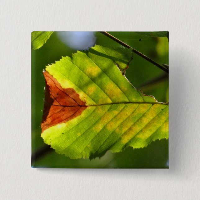 Green Fall Leaf 15 Cm Square Badge (Front)