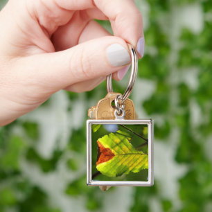 Green Fall Leaf Key Ring