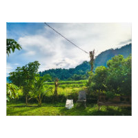 Green Farm Life Village