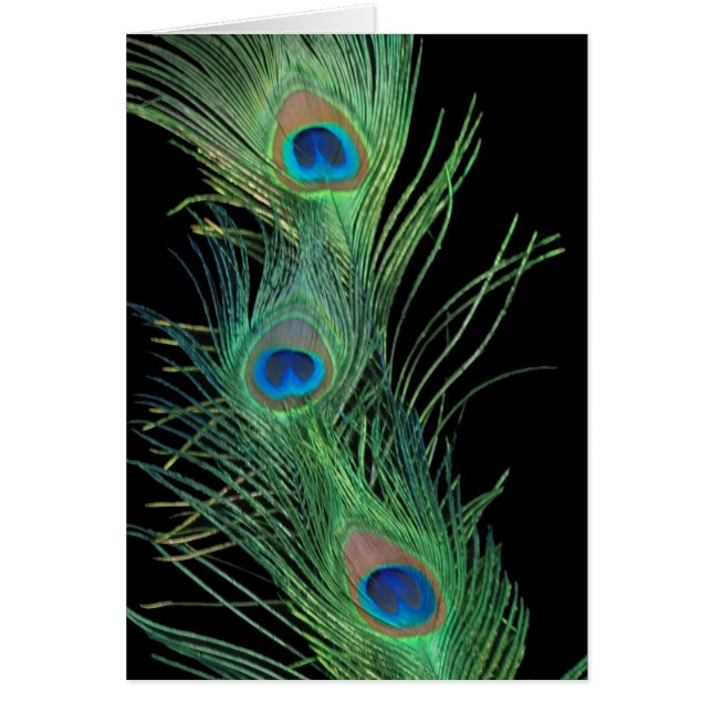Green Feathers with Black (Front)