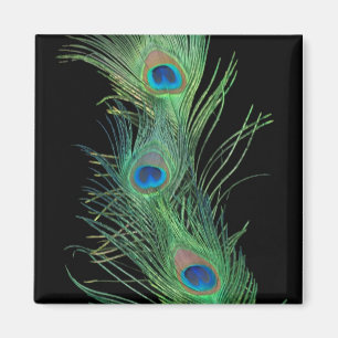 Green Feathers with Black Magnet