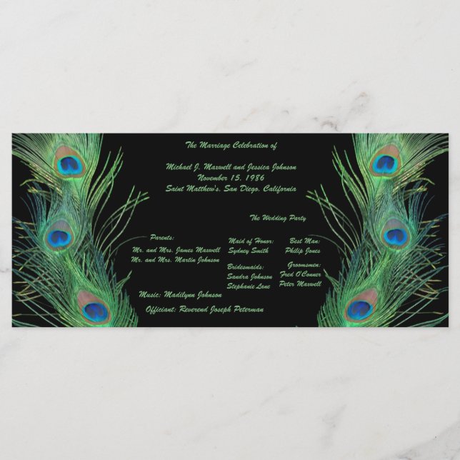 Green Feathers with Black Wedding Program Programme (Front)