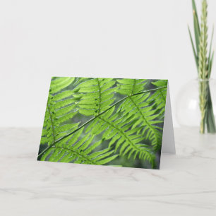 Green Fern Card