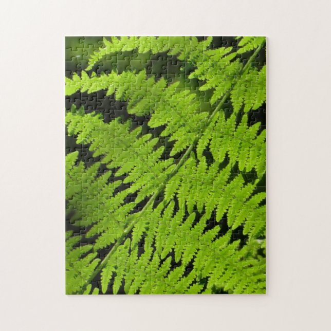 Green fern jigsaw puzzle (Vertical)
