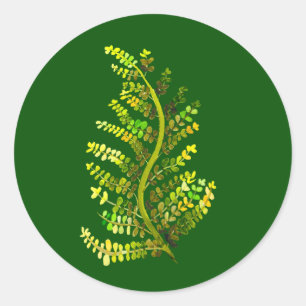 Green fern leaf plant art classic round sticker