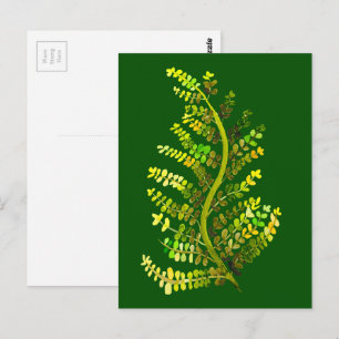 Green fern leaf plant art postcard
