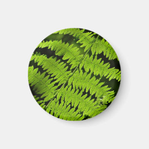 Green fern magnet