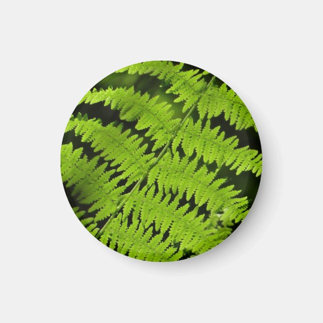 Green fern magnet (Front)