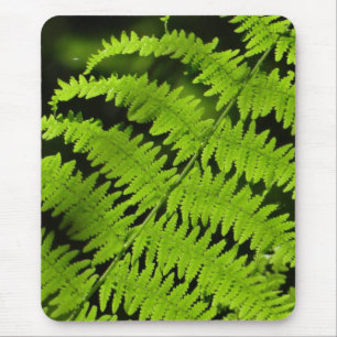 Green fern mouse mat