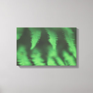 Green Fern Nature Photo Canvas Print