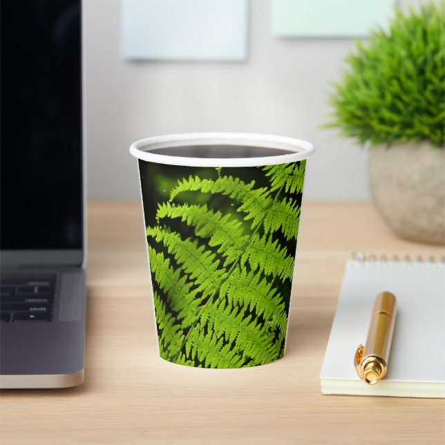 Green fern paper cups (Insitu)