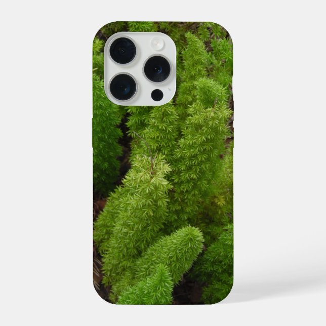Green Fern Stalks iPhone Case (Back)