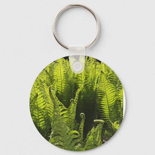 “Green ferns and curling fronds” Key Ring (Front)