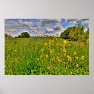 Green Field and Cloudy Blue Sky Poster