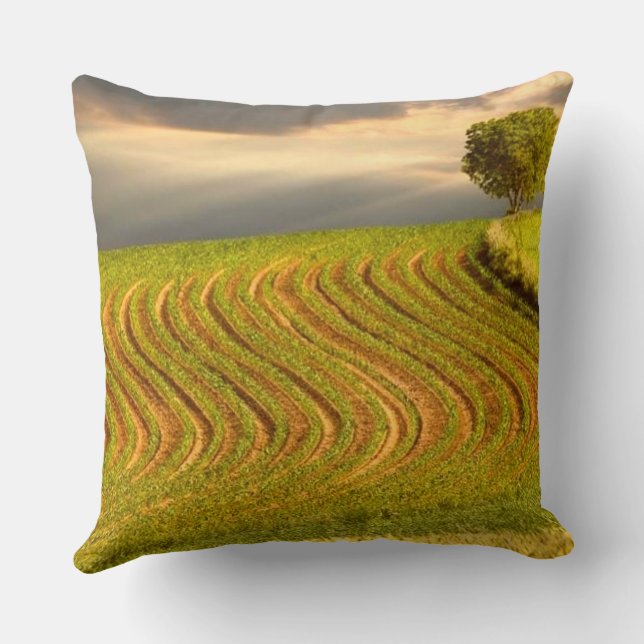 Green field cushion (Back)
