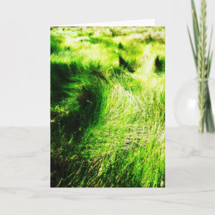Green field - Greeting cards