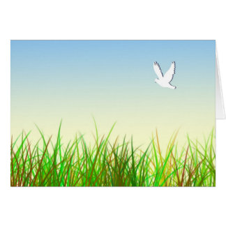 Green field with White dove