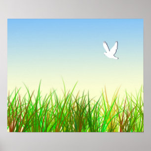 Green field with White dove Poster