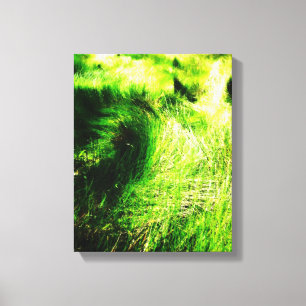 Green field - Wrapped Canvas