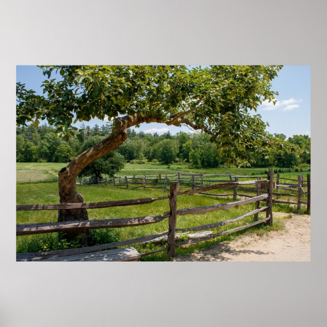 Green Fields Poster (Front)