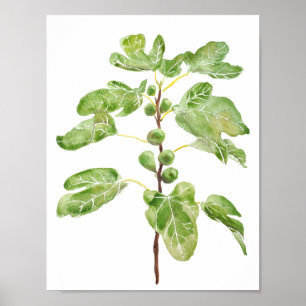 green fig leaves watercolor poster