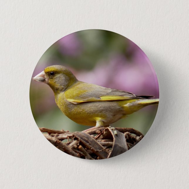 Green Finch 6 Cm Round Badge (Front)