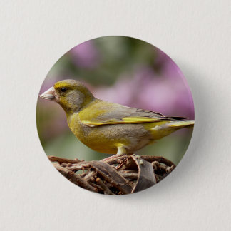Green Finch 6 Cm Round Badge