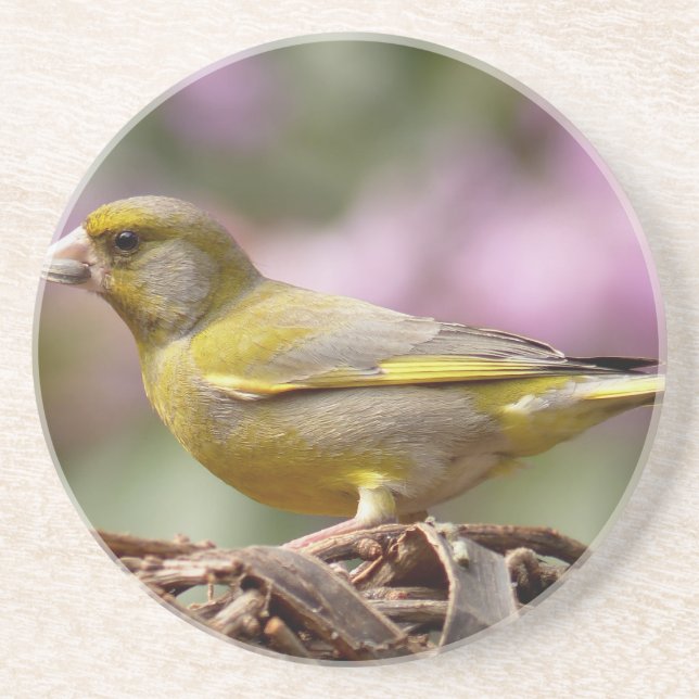 Green Finch Coaster (Front)