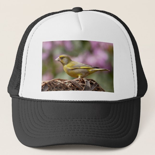 Green Finch Trucker Hat (Front)