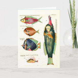 Green Fish and Friends Holiday Card