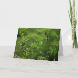 Green Floral Common Tansy Nature Photo Card