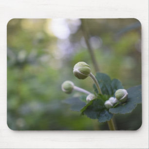 Green Flower Bud Garden Nature Photography Floral Mouse Mat