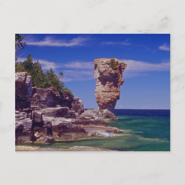 Green Flowerpot Island, Tobermory flowers Postcard (Front)