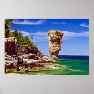 Green Flowerpot Island, Tobermory, Ontario flowers Poster