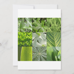 Green Flowers