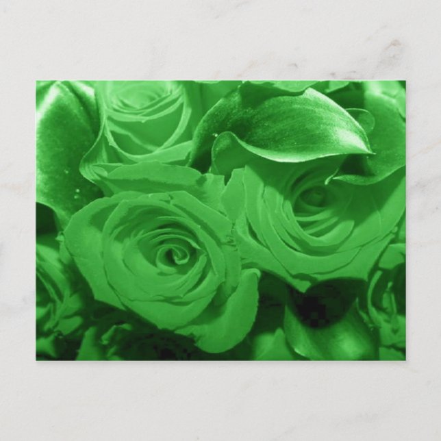 Green Flowers Postcard (Front)