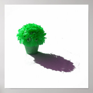 Green Flowers White Bucket and Shadow Poster