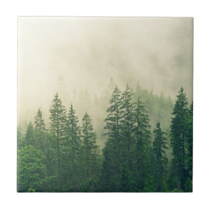 Green Foggy Rocky Mountains Colorado USA Adventure Tile